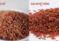 Phân biệt gạo lứt và gạo huyết rồng !!! 