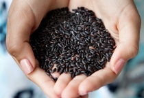 Gạo lứt có tốt cho người bệnh tiểu đường?