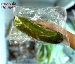 Bí đao (bán theo ký)