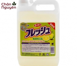 Bình nước rửa chén Wai (4L)