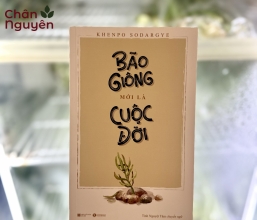 Sách Bão Giông Mới Là Cuộc Đời