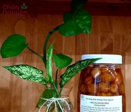 Mơ ngâm đường (hũ) (2.1kg)