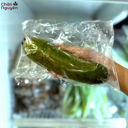 Bí đao (bán theo ký)