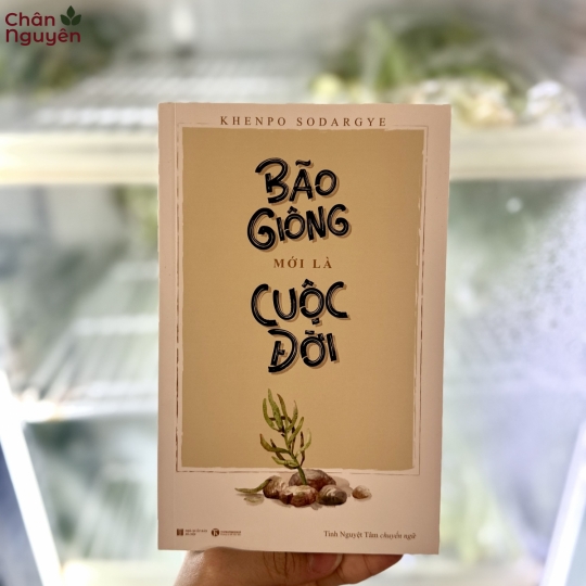 Sách Bão Giông Mới Là Cuộc Đời