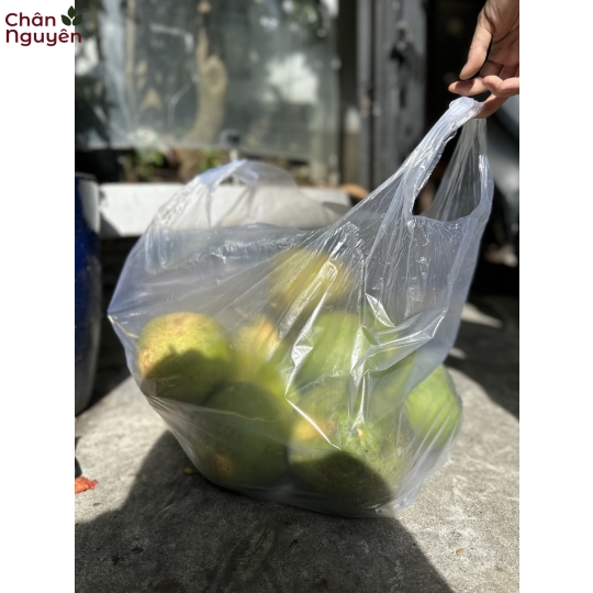 Bưởi Tân Triều (10 trái) 